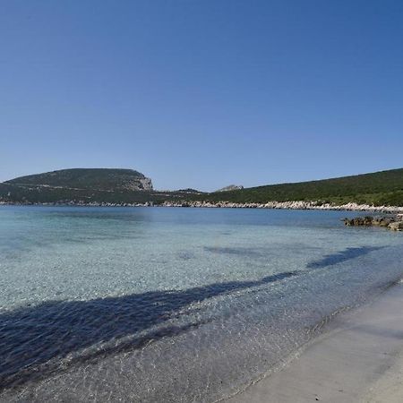 Pischina Salida-Villetta Pavoncelle Alghero Bagian luar foto